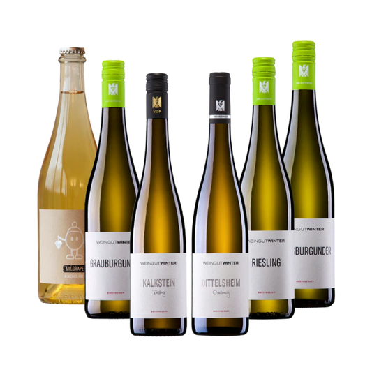 Weingut Winter smagekasse